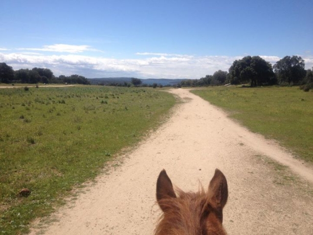 sobre el caballo
